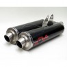 POT ECHAPPEMENT PAIRE SILENCIEUX CARBONE DUCATI