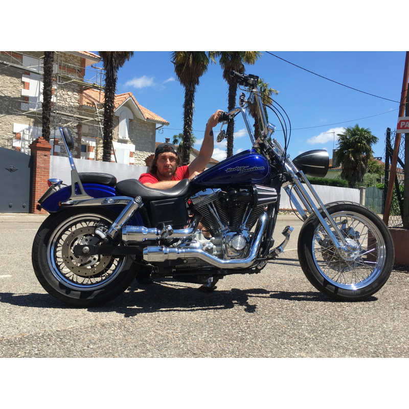 MCSO HD EFI DYNA SPRINGER