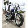 MCSO HD EFI DYNA SPRINGER