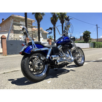 MCSO HD EFI DYNA SPRINGER