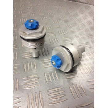 DUCATI PAIRE DE BOUCHON DE FOURCHE