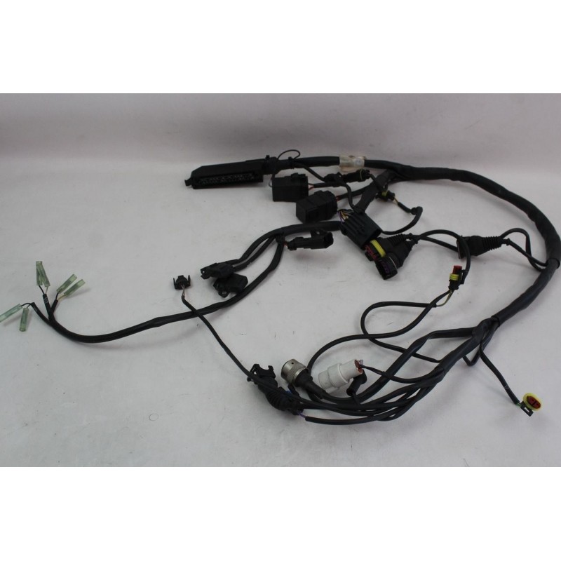 FAISCEAUX ELECTRIQUE DUCATI 