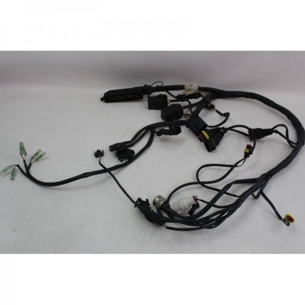 FAISCEAUX ELECTRIQUE DUCATI 