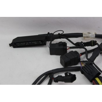 FAISCEAUX ELECTRIQUE DUCATI 