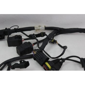 FAISCEAUX ELECTRIQUE DUCATI 