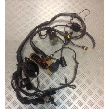 DUCATI FAISCEAUX ELECTRIQUE MONSTRO CARBURATEUR