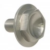 NEUF DUCATI VIS D'AXE DE BRAS OSCILLANT 