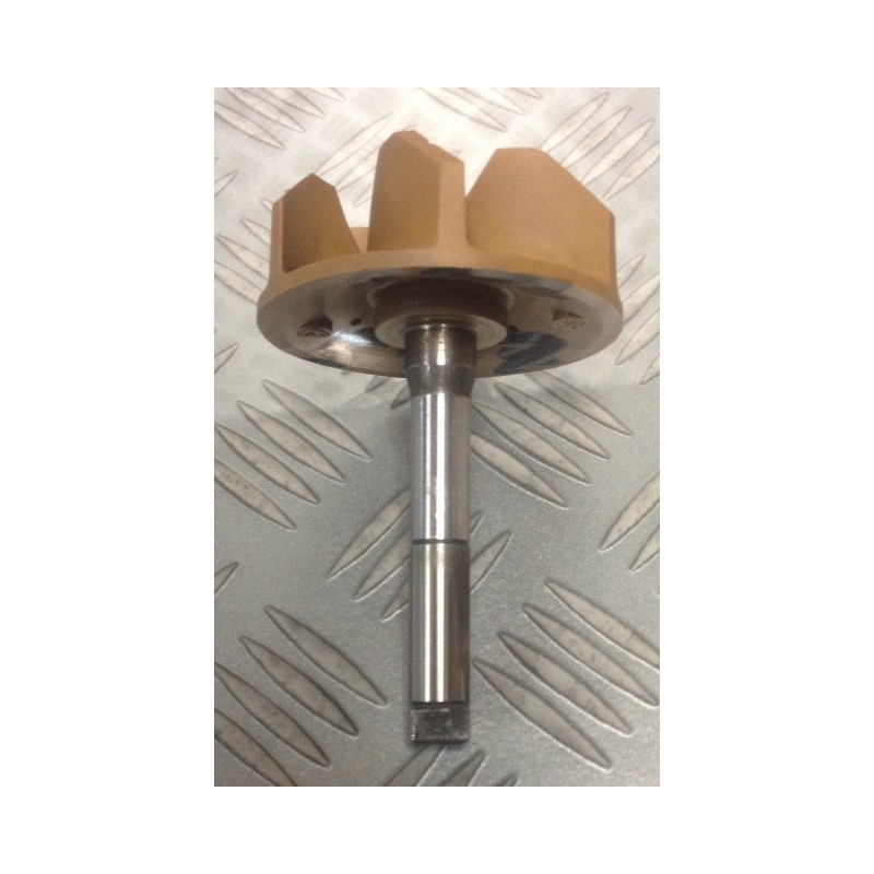 TURBINE POMPE A EAU DUCATI REF 25120091A