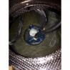 NEUF RESERVOIR CARBONE DUCATI 