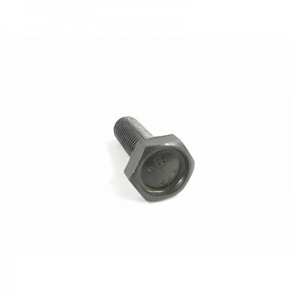 VIS NEUVE DE TETE DE VILEBREQUIN BMW / HEX BOLT