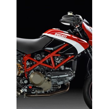 PAIRE CACHE COUVRE COURROIE BELT CAP  HYPERMOTARD MONSTER CARBONE