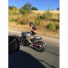 MCSO DESMO DAY